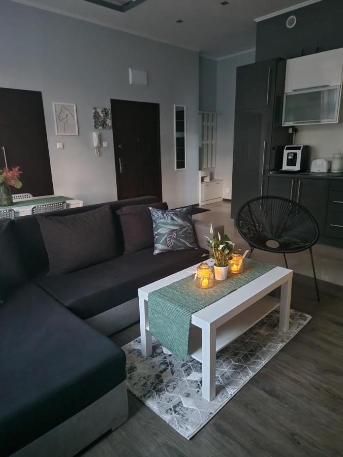 Blisko Natury Apartment Olsztyn (Warmian-Masurian)